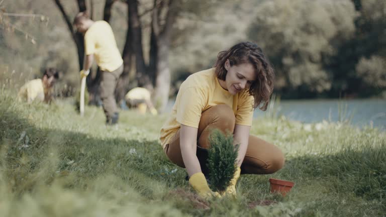 Best Soil Testing and Treatment  in Murphys, CA